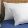Brand new ???? Cozy Classics Cooling Pillow ???? -Ella Jayne shop unnamed file 1960