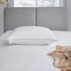 Wholesale ⭐ Martha Stewart Collection Premium White Down Pillow ???? 1 Wholesale ⭐ Martha Stewart Collection Premium White Down Pillow ???? -Ella Jayne shop unnamed file 2047