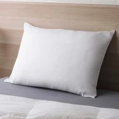 Discount ???? Cozy Classics Plush Embossed Pillows Set Of 2 ✔️ -Ella Jayne shop unnamed file 2076