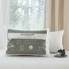 Buy ???? SpringLoft Premium Down Alternative Pillow 2 Pk. ???? -Ella Jayne shop unnamed file 2084