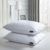 Promo ???? Beautyrest Cotton Softy Around 95/5 Goose Feather/Down Medium Firm Pillow 2 Pk. ???? -Ella Jayne shop unnamed file 2133