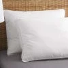 Buy ???? Cozy Classics Allergen Barrier Gusseted Pillows Set Of 2 ???? -Ella Jayne shop unnamed file 2137