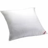 Outlet ✨ AllerEase Euro Pillow ???? -Ella Jayne shop unnamed file 2151