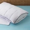 Coupon ⌛ Cozy Classics MicronOne Allergy Protection Pillow Enhancer 2 Pc. Set ✔️ -Ella Jayne shop unnamed file 2156