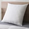 Cheapest ???? Cozy Classics Big And Soft Euro Pillows Set Of 2 ???? -Ella Jayne shop unnamed file 2202