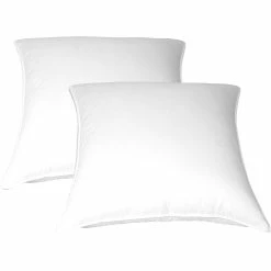 Top 10 ???? Blue Ridge Home Fashions Blue Ridge 230 Thread Count Cotton Twill Euro Square Feather Pillow 2 Pk. ????
