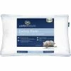 Top 10 ❤️ Serta Perfect Sleeper Extra Firm Pillow ???? -Ella Jayne shop unnamed file 2218