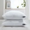 Best reviews of ???? Beautyrest 233tc Cotton Softy Around 95/5 Feather/Down Firm Euro Pillow 2 Pk. ???? -Ella Jayne shop unnamed file 2306