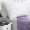 Budget ???? Cozy Classics Aromatherapy Lavender Soft Touch Pillow ???? -Ella Jayne shop unnamed file 2366