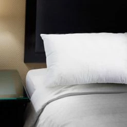 Discount ???? Lavish Home 100% Cotton Feather Down Pillow ???? -Ella Jayne shop unnamed file 2370