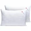 Top 10 ???? I Love Pillow Cumulus 2 Pk. Pillow ???? -Ella Jayne shop unnamed file 2407